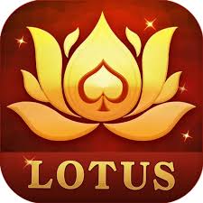 teen patti vungo app download download